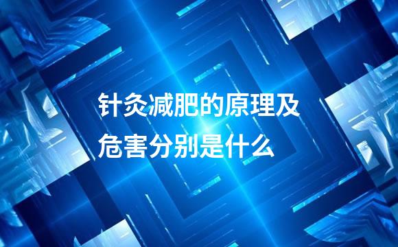 针灸减肥的原理及危害分别是什么
