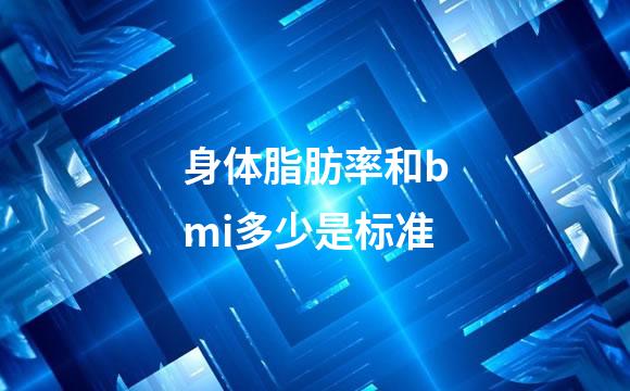 身体脂肪率和bmi多少是标准